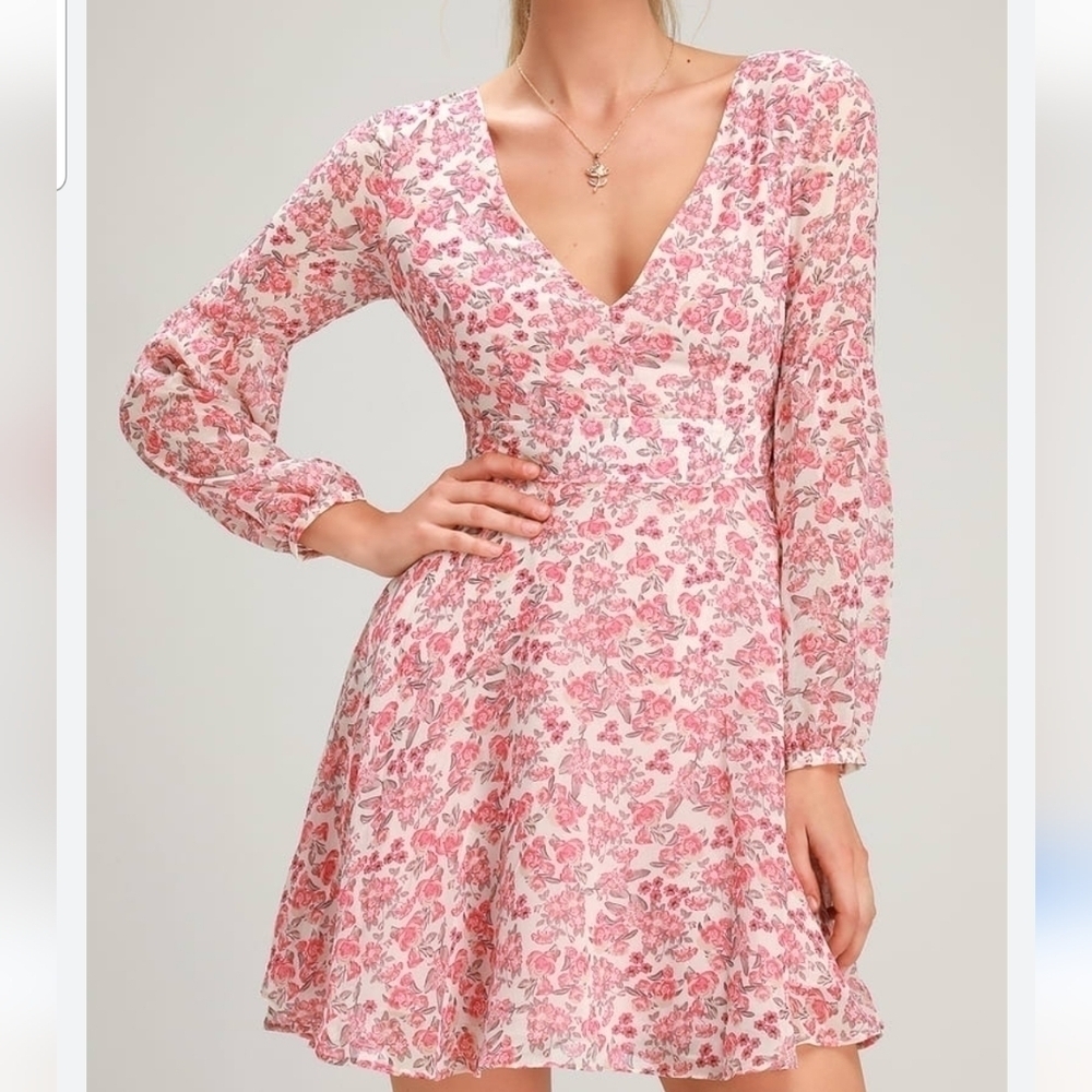 BB Dakota Sunday Brunch Pink Floral Long Sleeve Mini Dress Sheer Sleeves Size 4